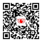 上海献血