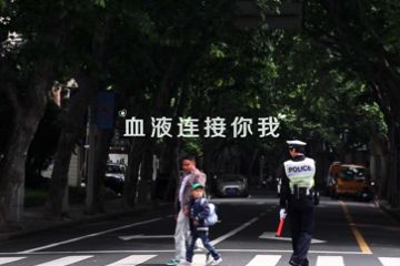 血液连接你我