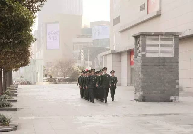 杨浦区：青春的“橄榄绿”又要来了！