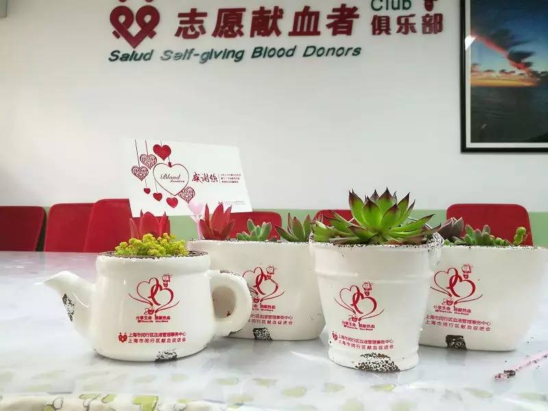 闵行区：春暖花开，领盆肉肉回家吧~