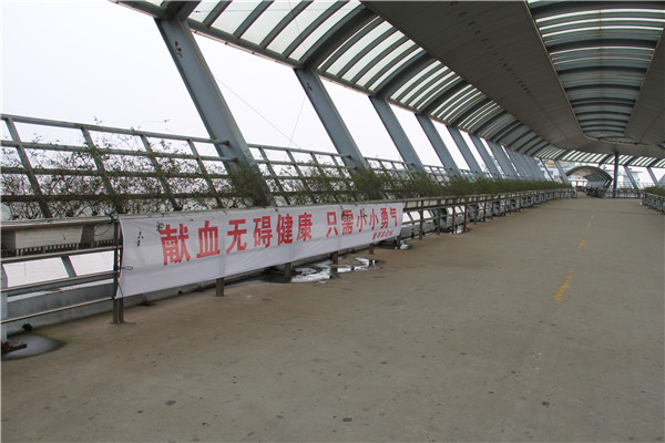 悬挂横幅 (1).jpg