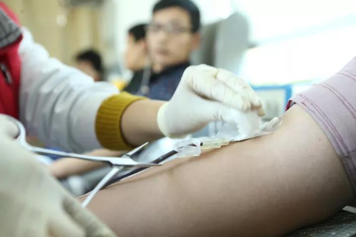 闵行区：捋袖献血诠释志愿者精神