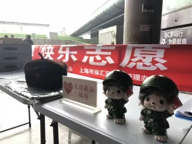 徐汇区：学习雷锋，快乐志愿