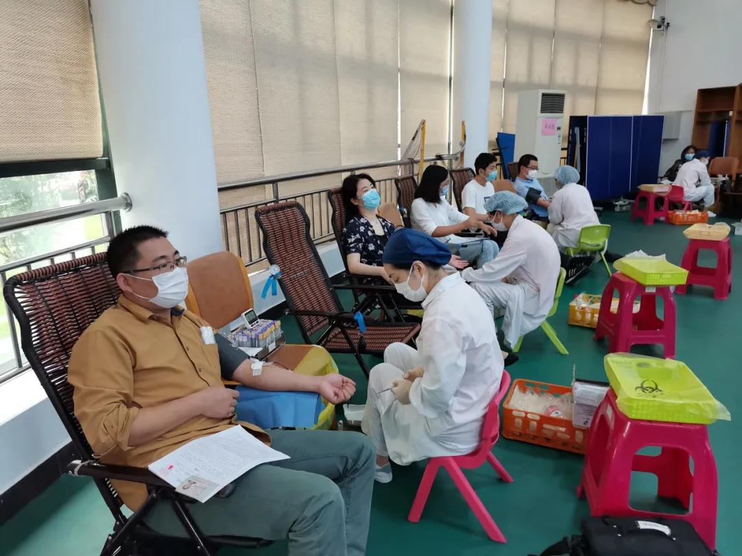 金山区:吕巷镇团体无偿献血活动