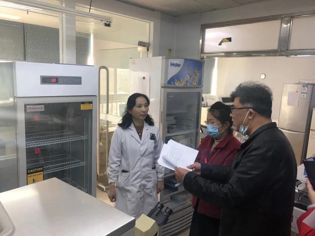 普陀区:2021年部分医疗机构临床用血工作专项检查