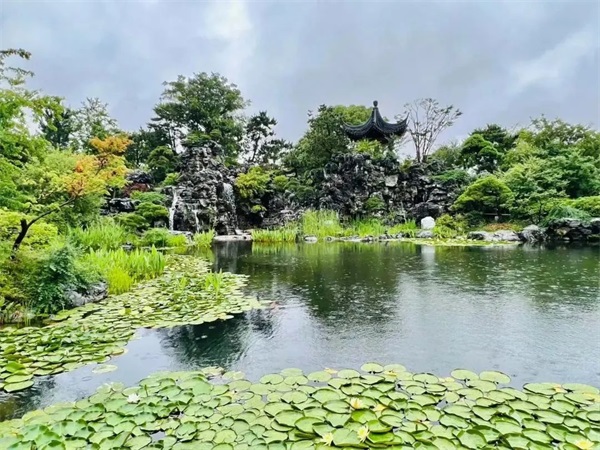 05.jpg