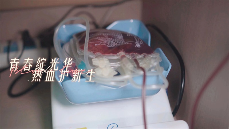 02.jpg