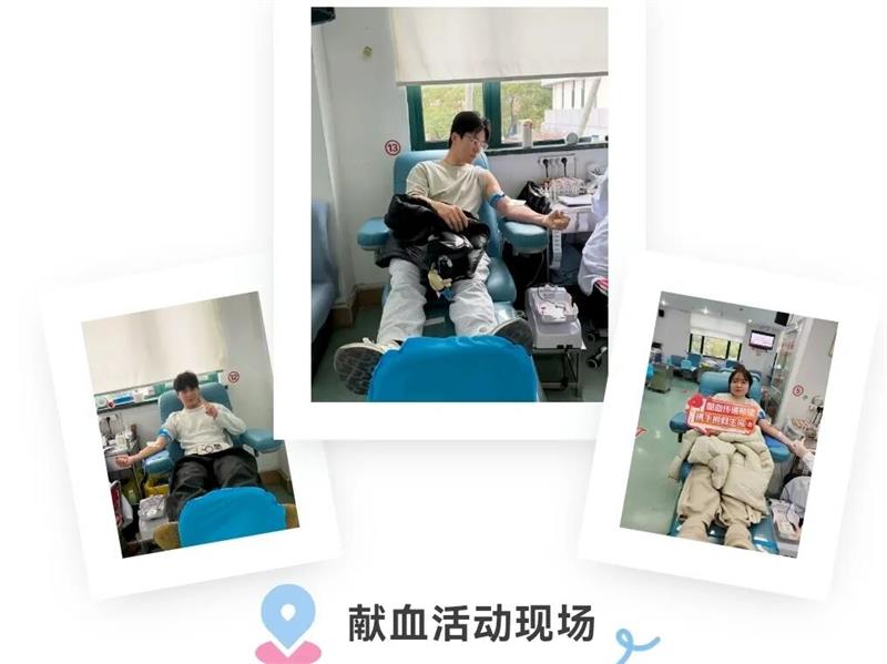 1775008964535194.jpg image_004.jpg